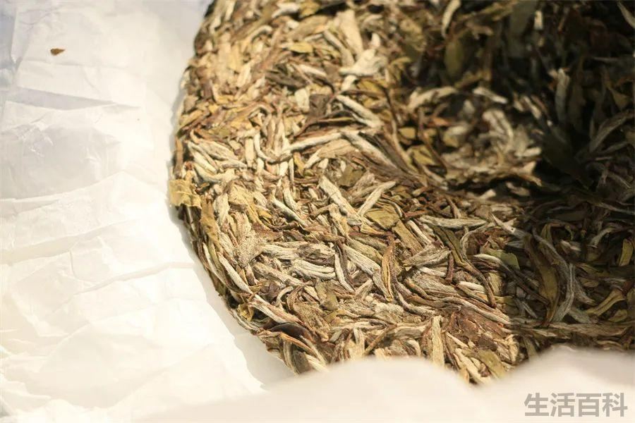 福建名茶排行榜前十名