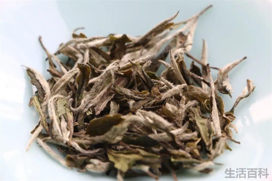 福建名茶排行榜前十名