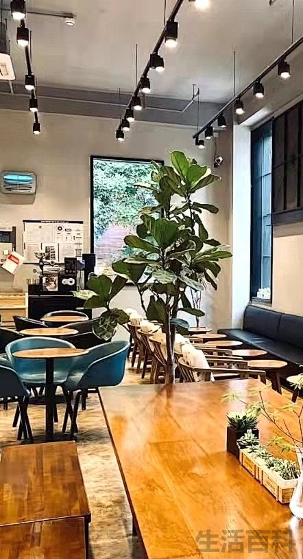 北京蛋糕店排行榜前十名