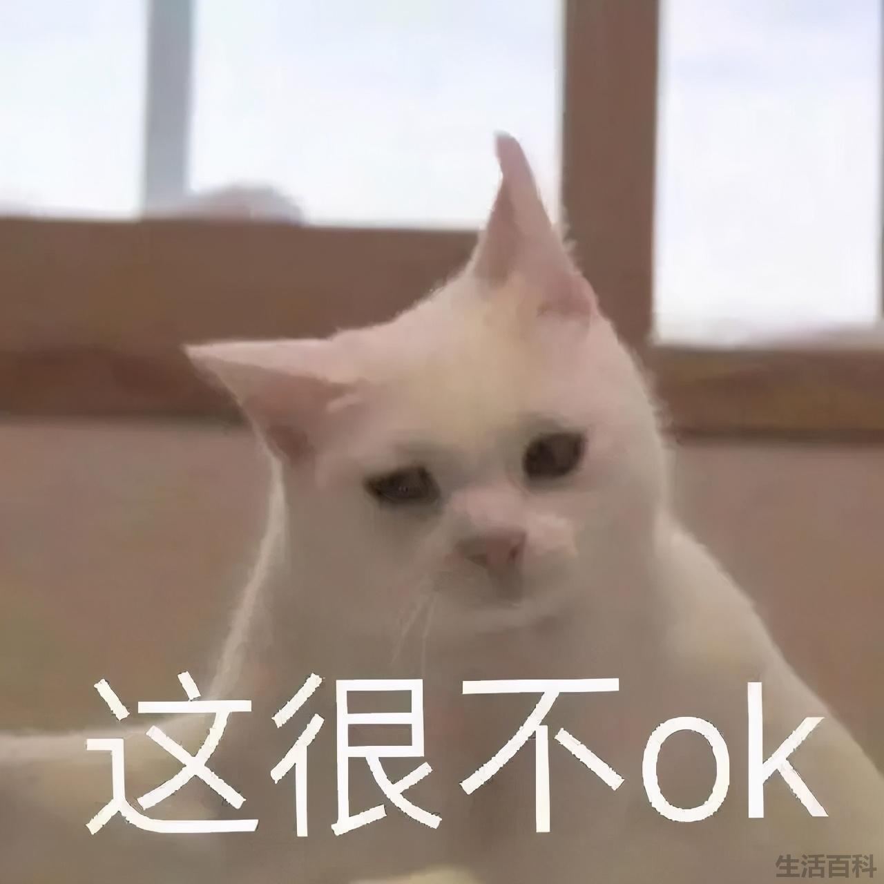 最不烧钱的乐器排名及价格