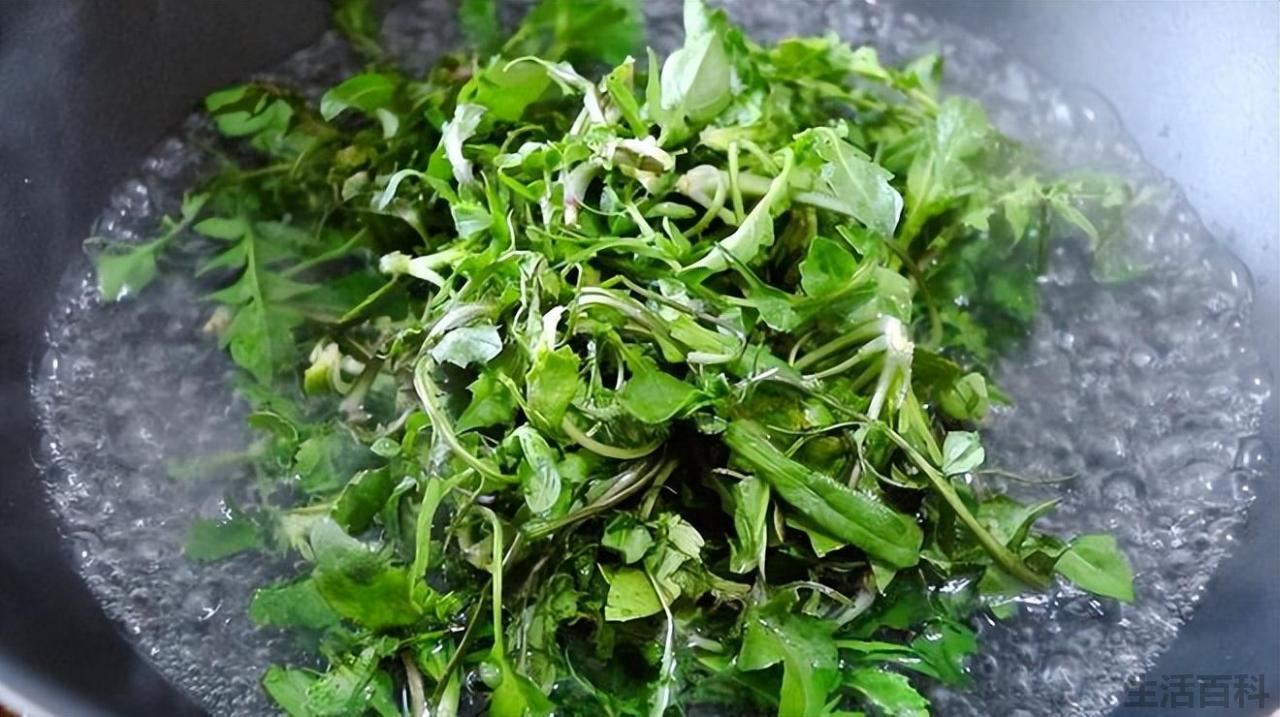最受欢迎饺子馅排行榜