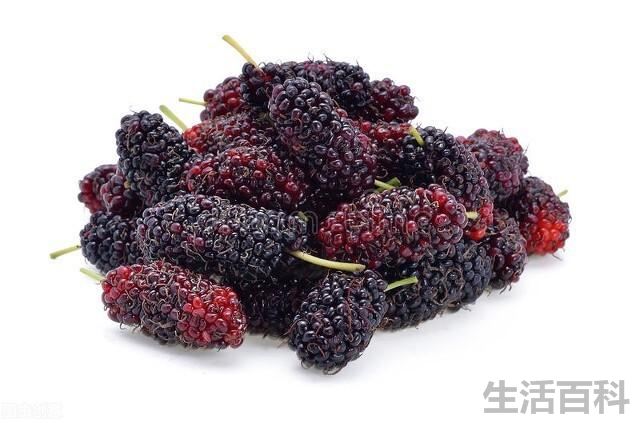 中国桑葚哪个产地最好