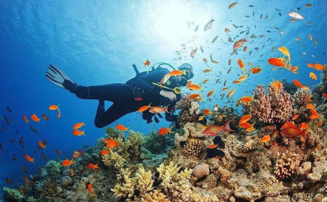 中国哪里看海最美