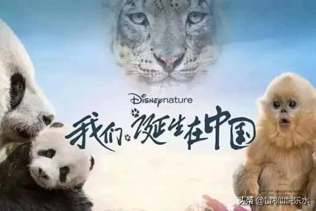 儿童教育电影排行榜前十名国语