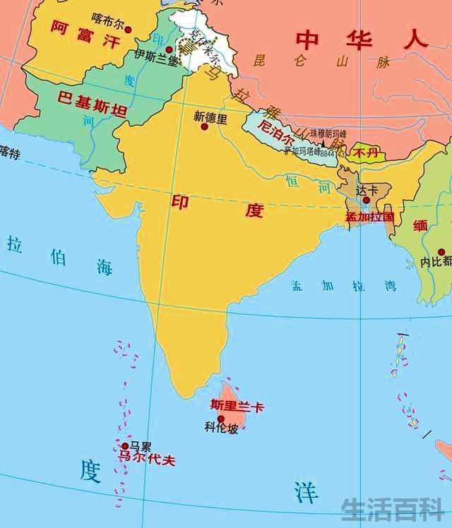 斑点池龟越大越丑
