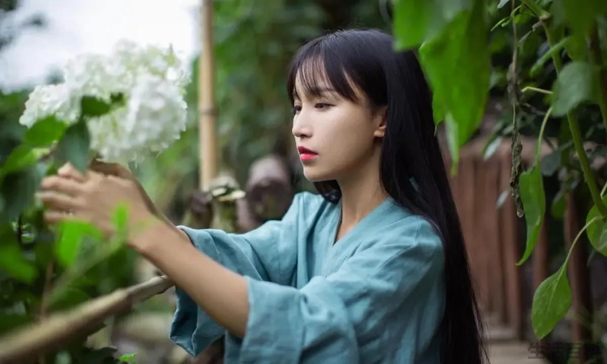 抖音网红收入最高的前十名