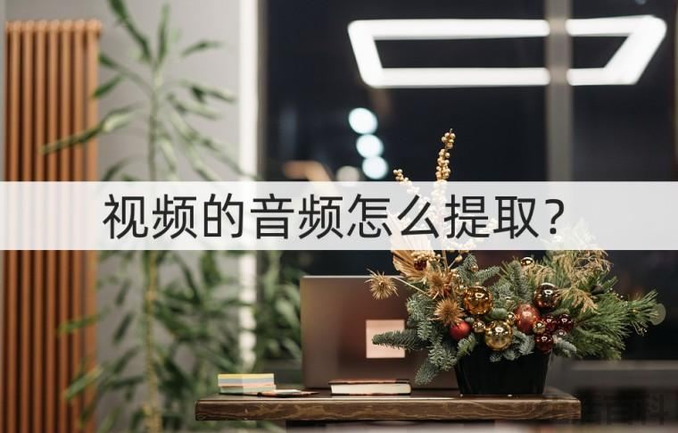 视频的音频怎么提取