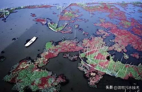 中国十大水污染事件