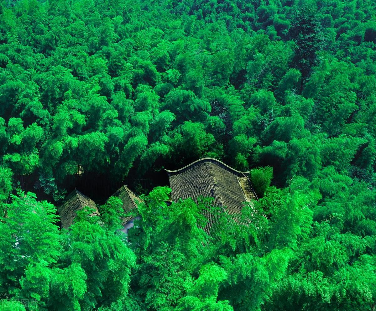 竹海最值得去的景点