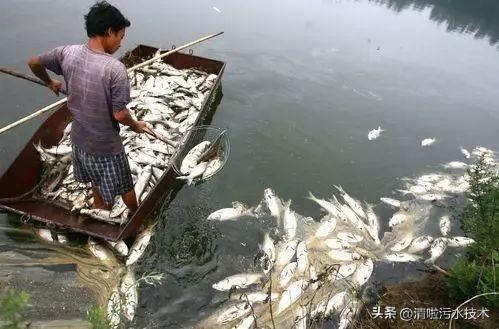 中国十大水污染事件