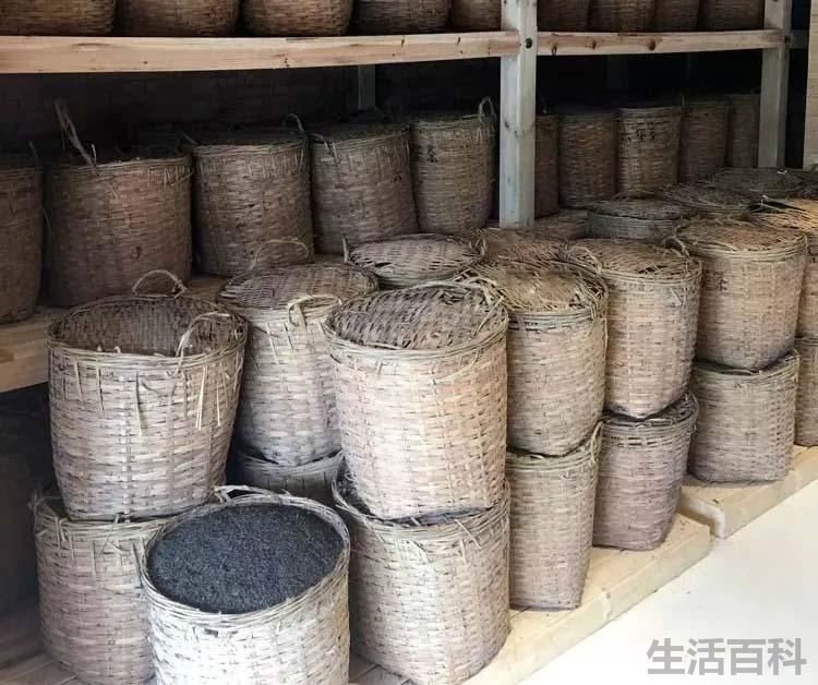 六堡茶多少钱一斤