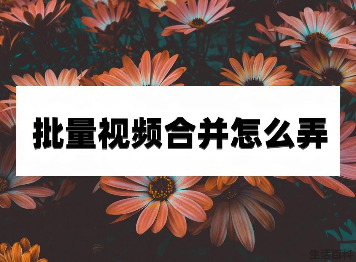批量视频合并怎么弄