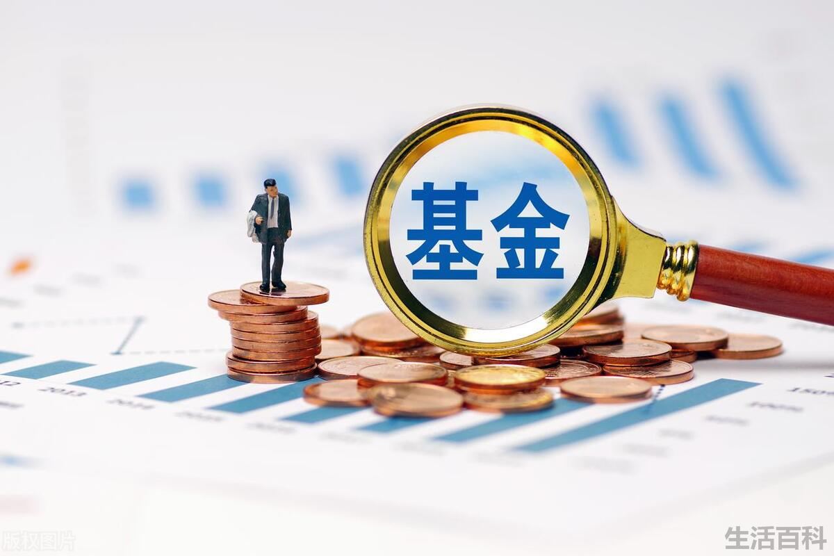 基金净值估算与基金净值的区别是什么