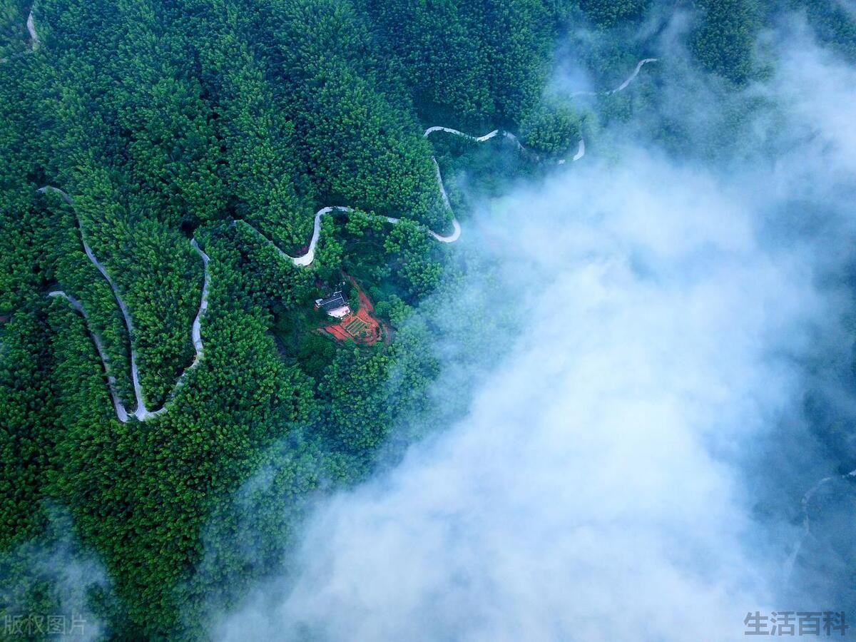 竹海最值得去的景点