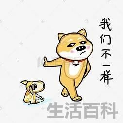 藏红花和红花区别在哪里