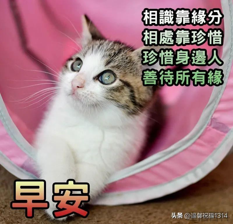一天一个祝福语短句大全