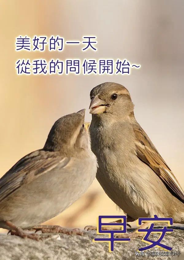 一天一个祝福语短句大全