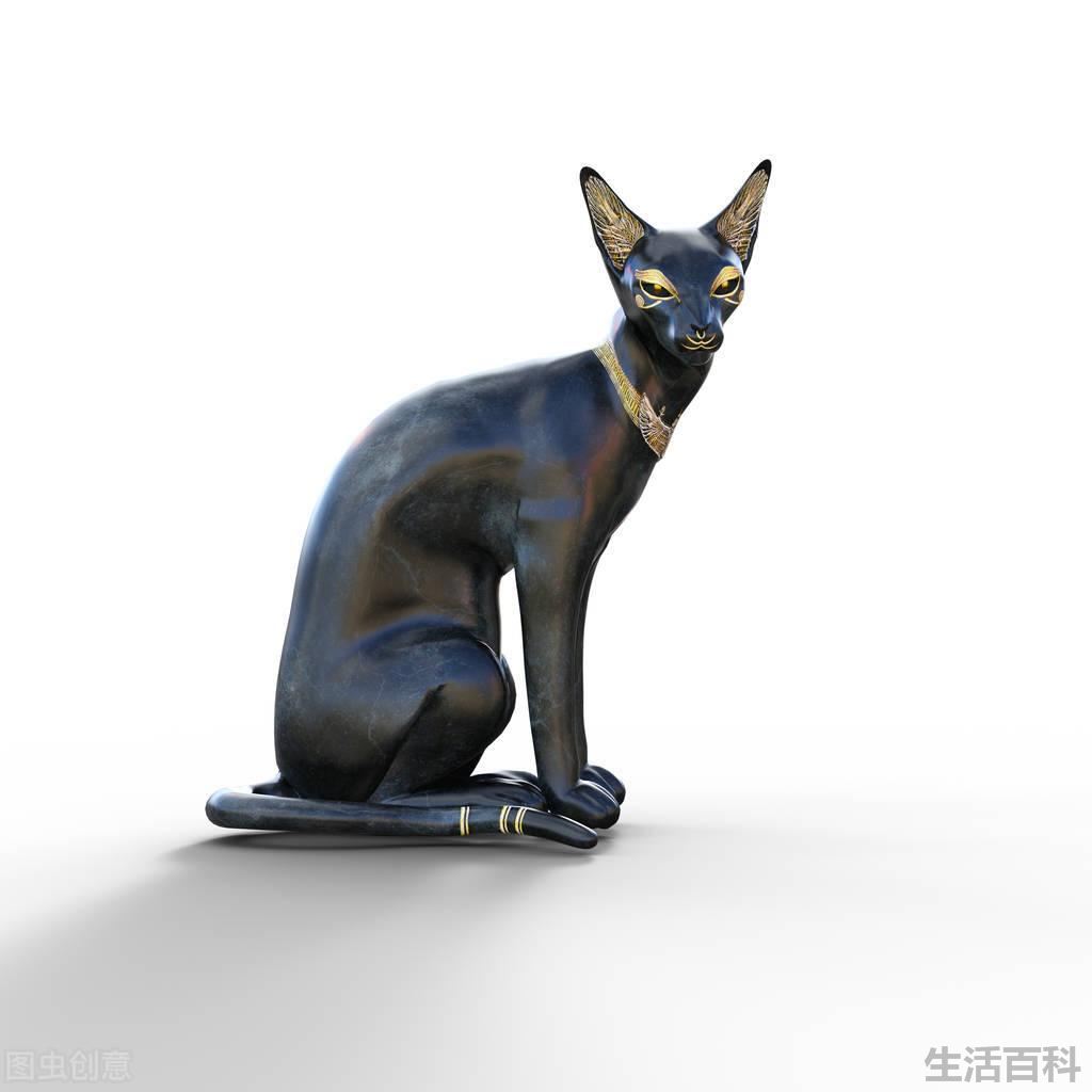猫是怎么来的