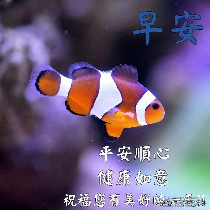 一天一个祝福语短句大全