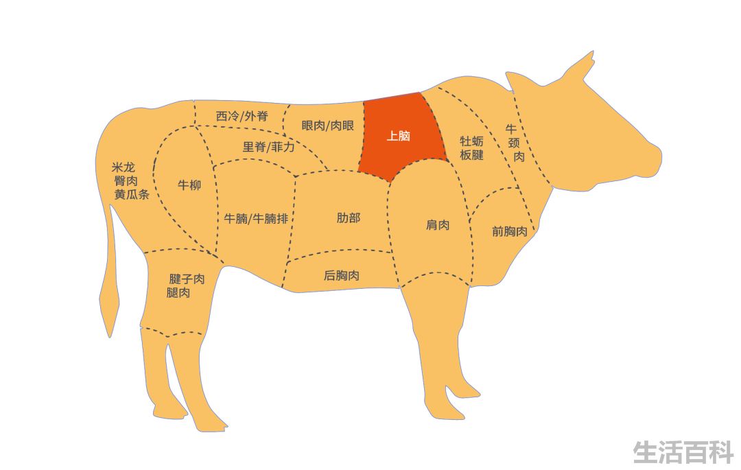 牛上脑为什么不宜多吃!