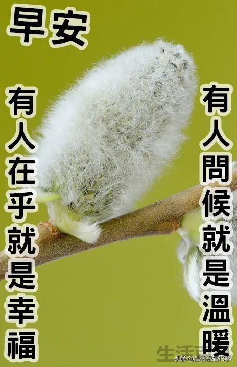 一天一个祝福语短句大全