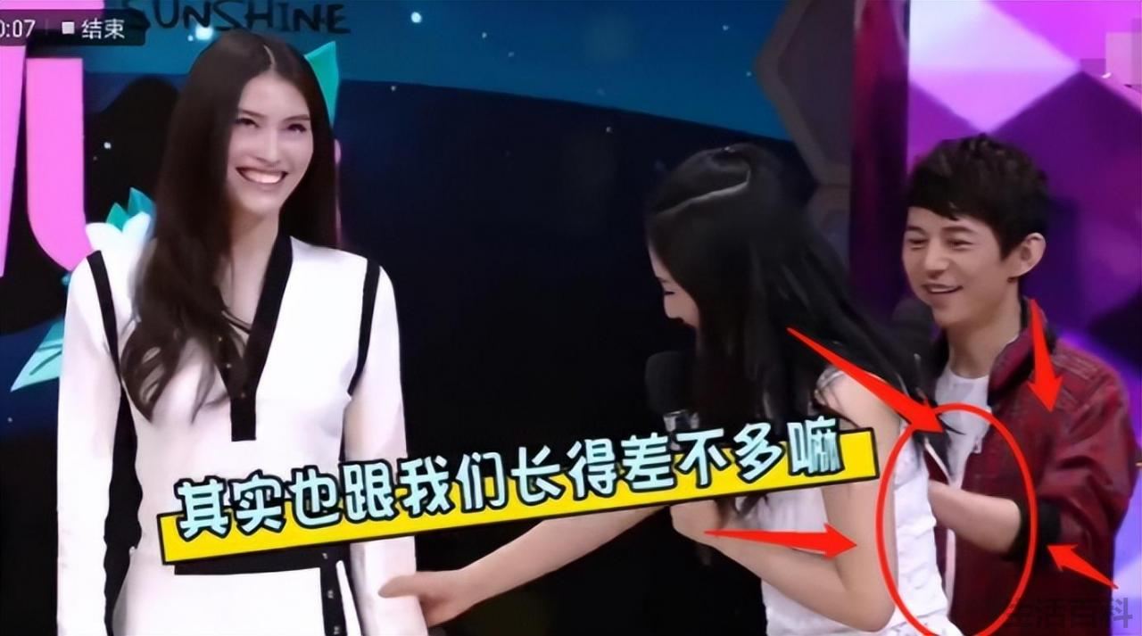 谢娜个人资料简介