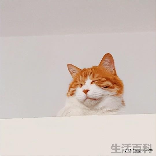 台风最新消息2022
