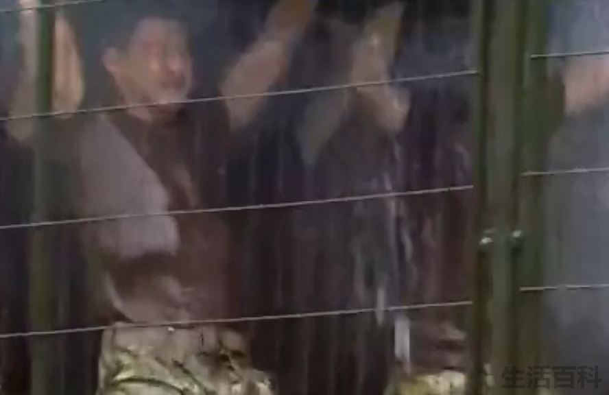 单手换弹夹事件田建明