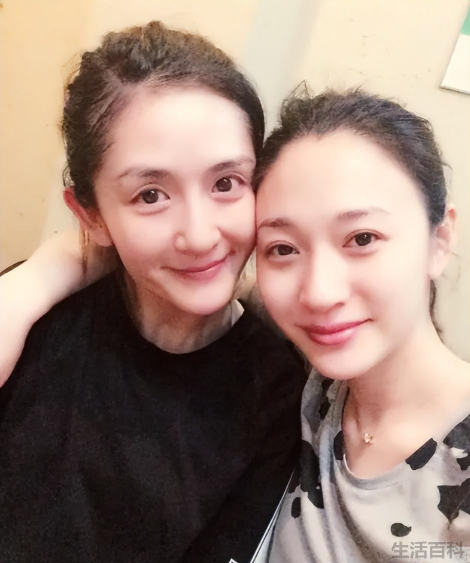 谢娜个人资料简介