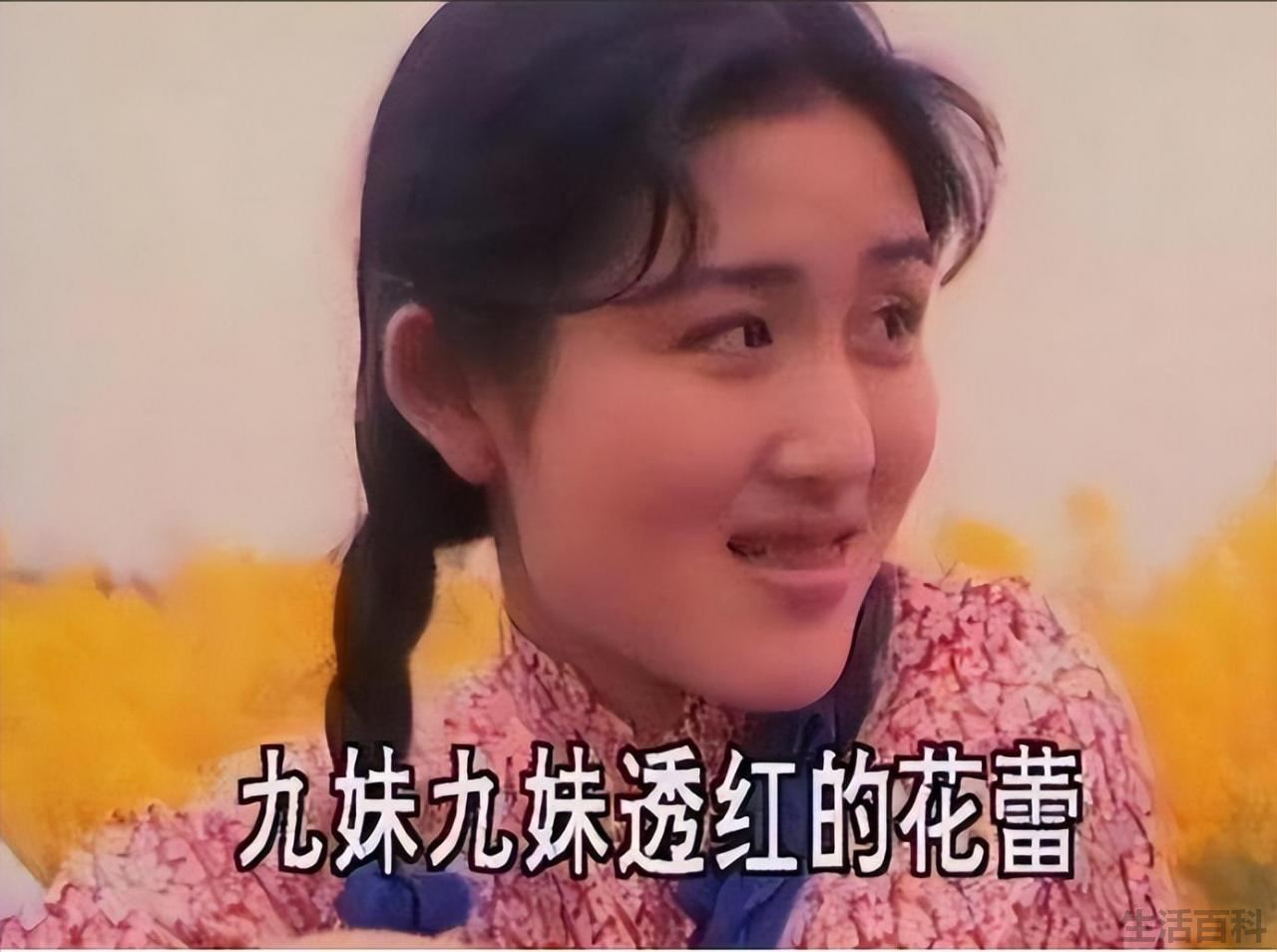 谢娜个人资料简介