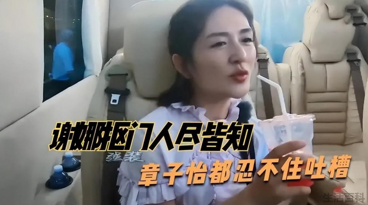 谢娜个人资料简介