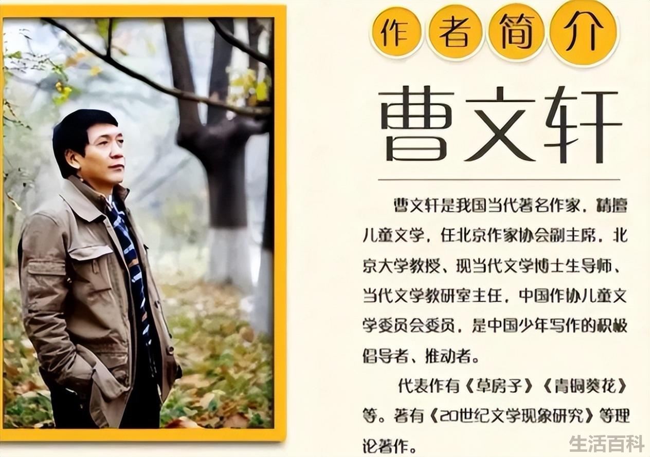 曹文轩的书为什么不能看