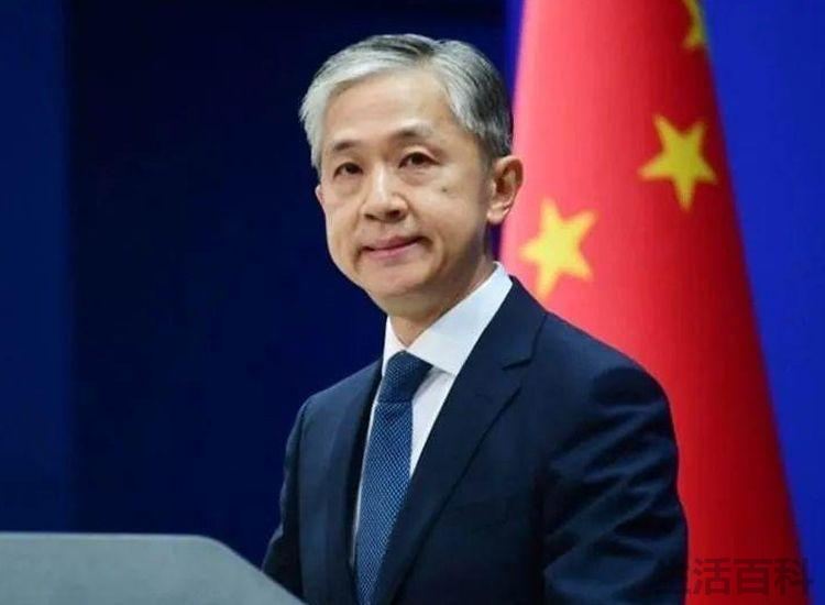 汪文斌去哪了