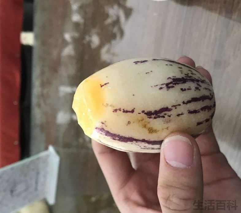 人生果实图片大全