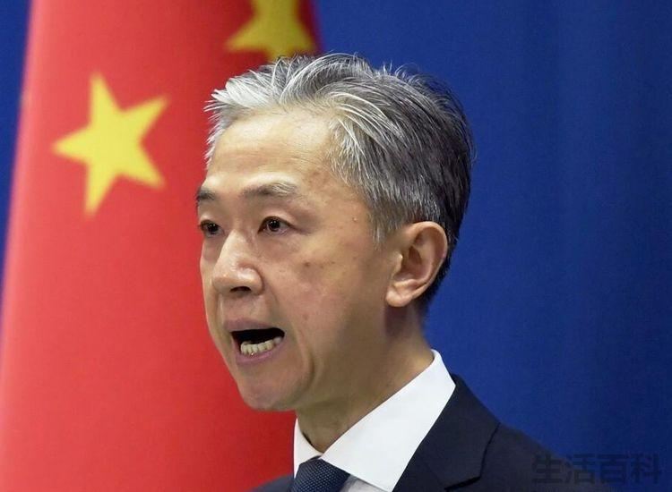 汪文斌去哪了