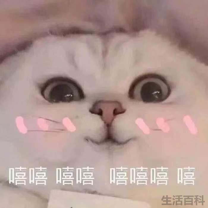 最佳搜索引擎磁力