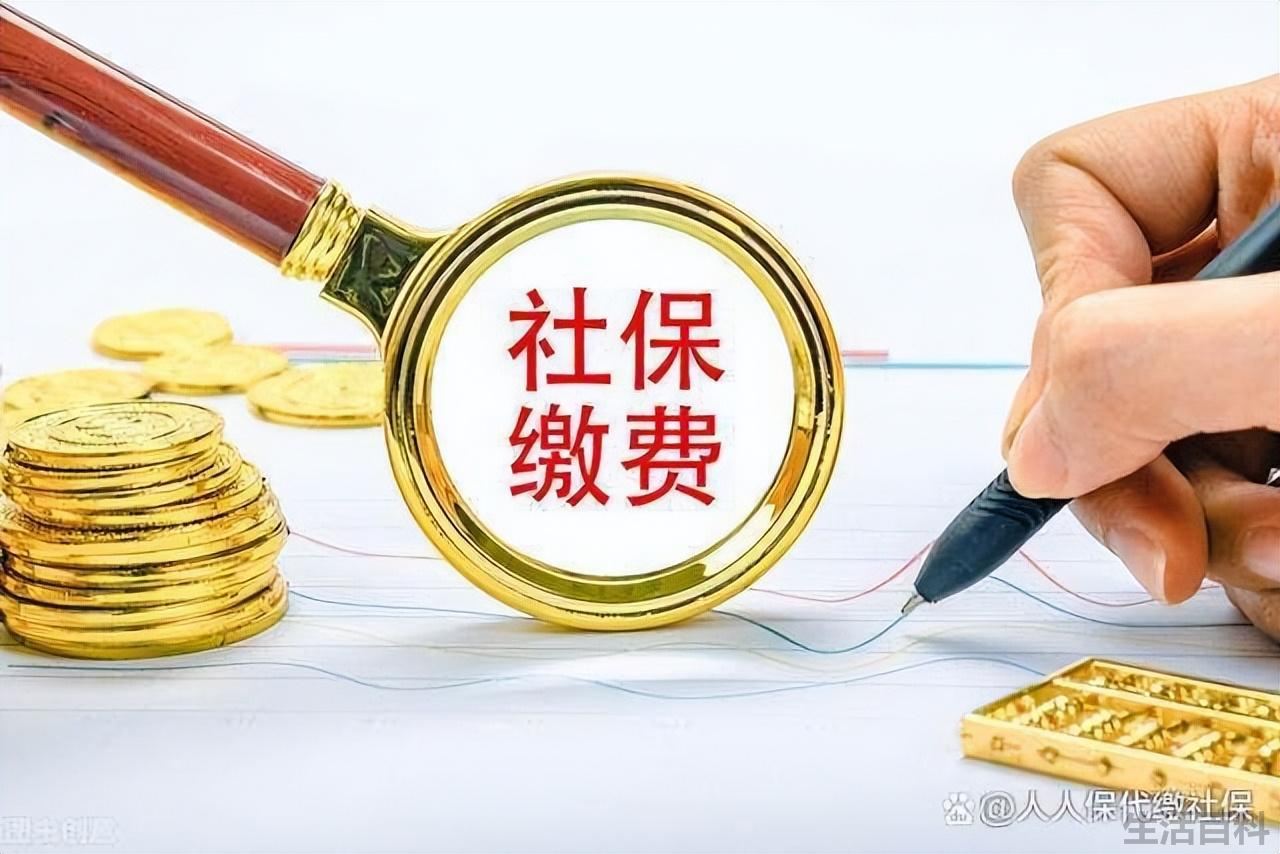 上海社保代缴一个月多少钱