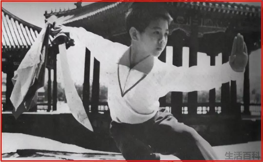 李连杰的真实家世高岗