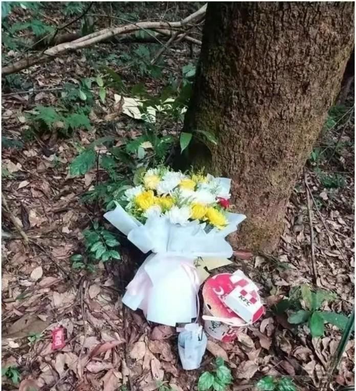 南京被害女大学生原因是什么