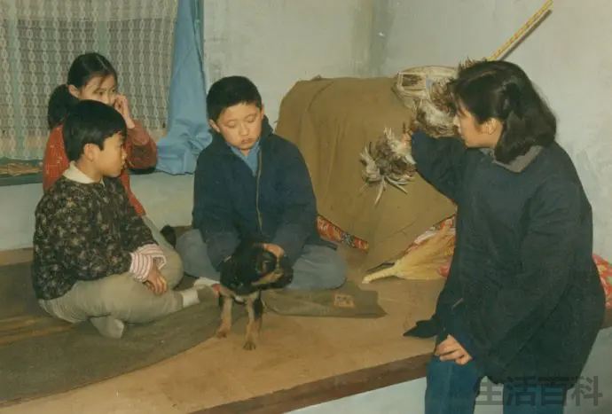 梁晓声最好三部作品