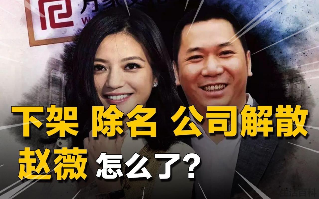 赵薇和马云进入世界最大组织