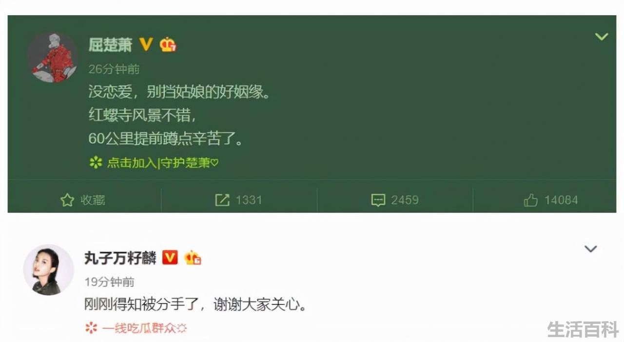 屈楚萧公开尺寸截图