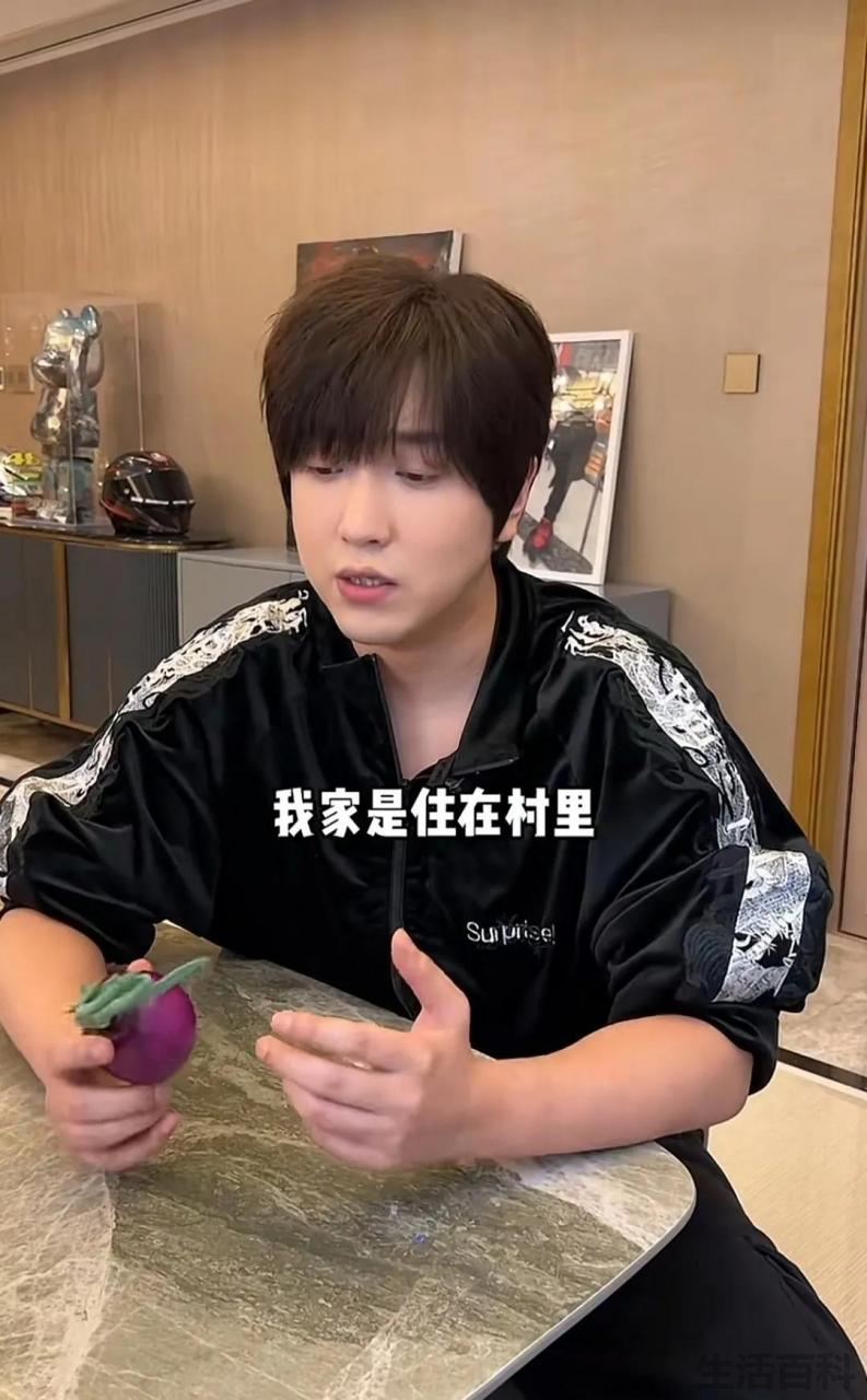 抖音白冰做什么的