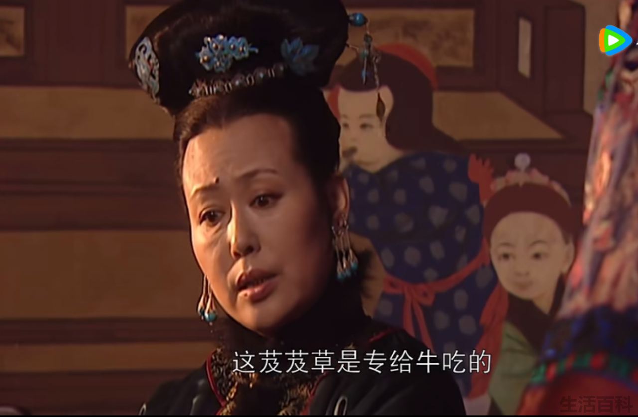 孝庄为什么扒了董鄂妃的衣服