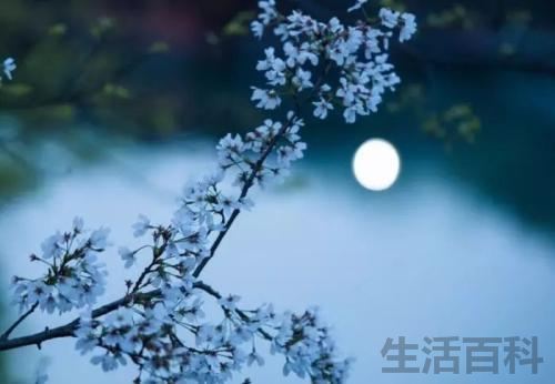 想叫一个人霉运缠身简单点的