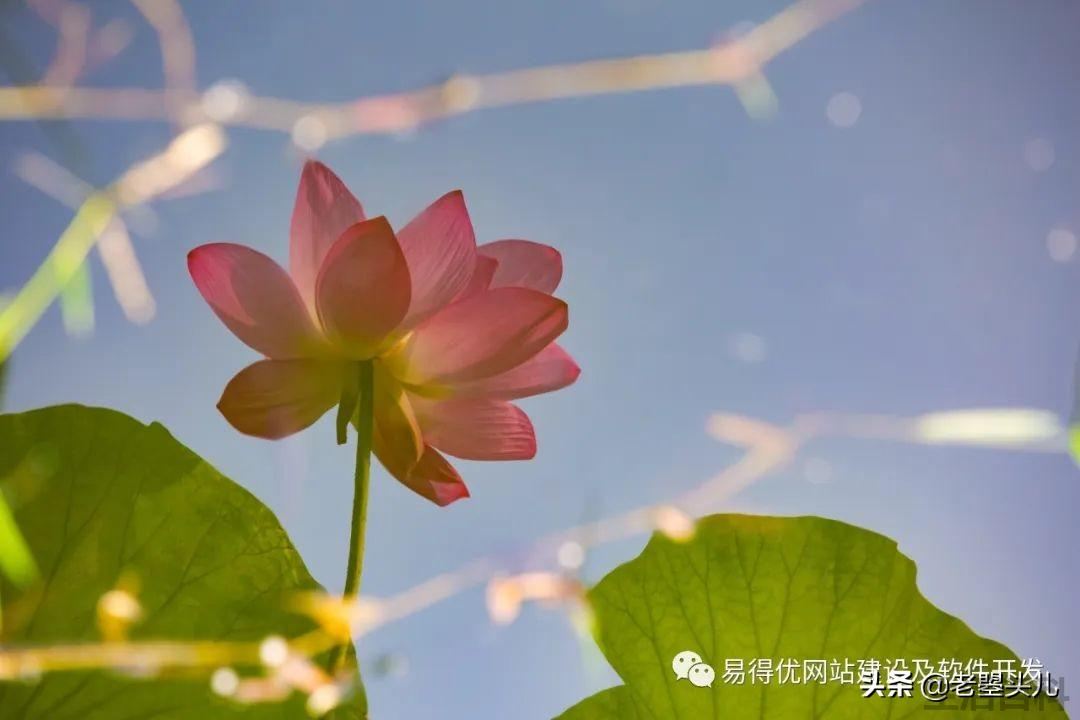 2023年什么时候入伏