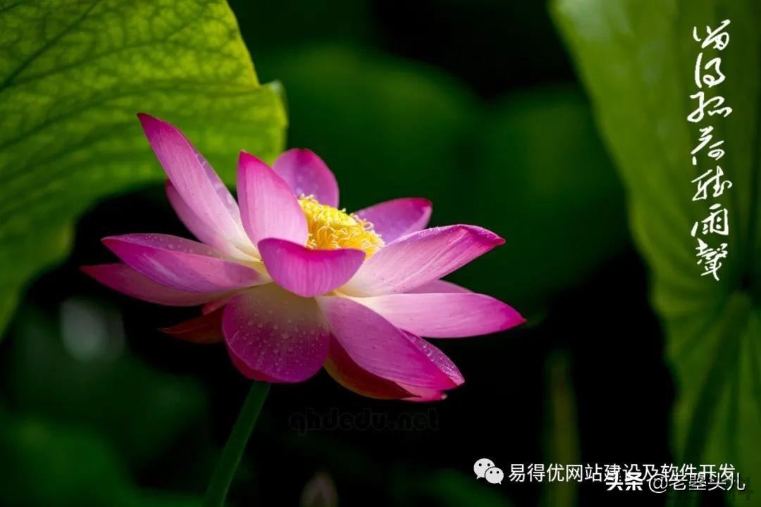 2023年什么时候入伏