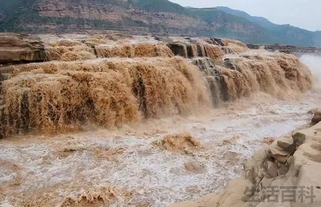 黄河下真有一条蛟龙和老龟