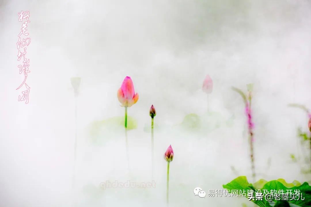 2023年什么时候入伏