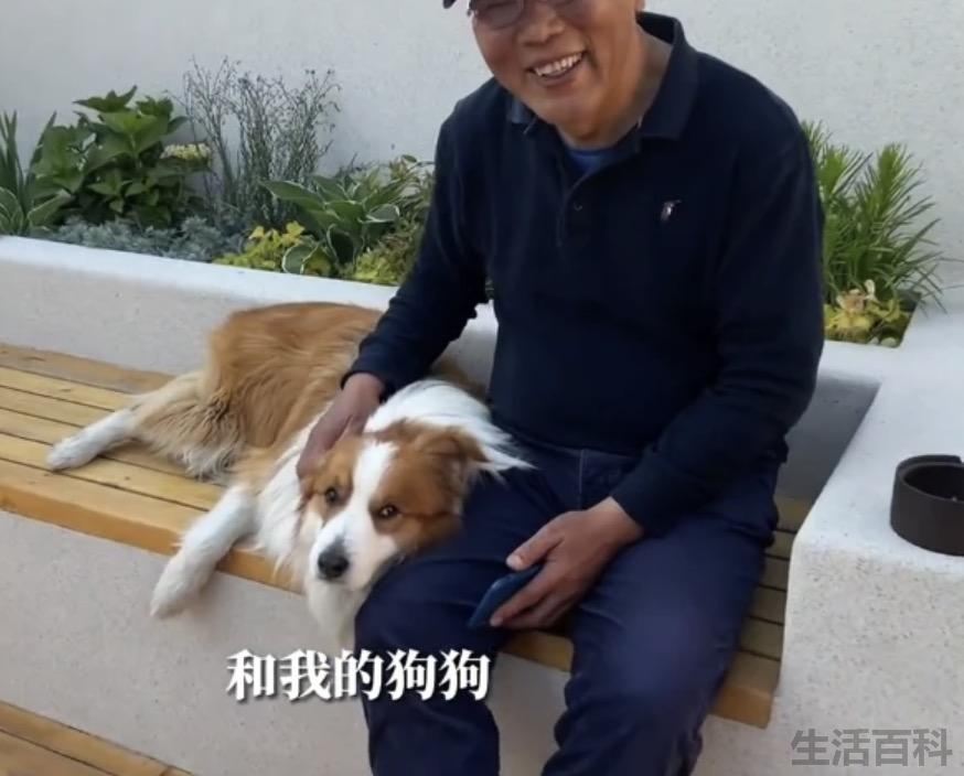 杨天真个人资料介绍